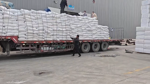 山东东达聚合物化工有限公司厂区装车现场